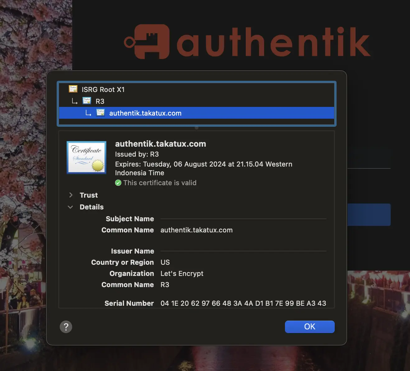 Authentik Dashboard